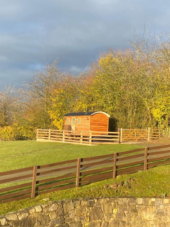 The Snug At Coed Y Gaer Vila Oswestry Exterior foto